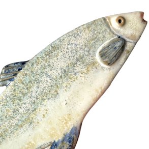 Lkker sild - keramik fisk til vggen - blgrn