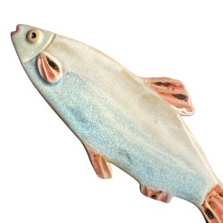 L�kker sild - keramik fisk til v�ggen - Turkis