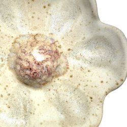 Blomst- Keramik vgophng - Rosa 17