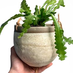 Hngepotte - Keramik 15