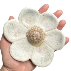 Blomst - Keramik vgophng - Hstanemone 14