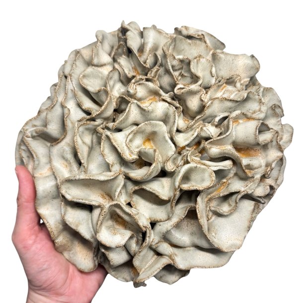 Koral - keramik relief - �27